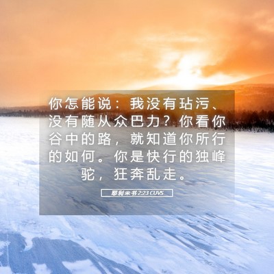 Picture 05 - 耶 利 米 书 2:23 CUVS - 你 怎 能 说 ： 我 没 有 玷 污 、 没 - Bible Verse Picture