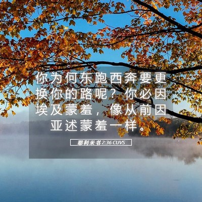 Picture 05 - 耶 利 米 书 2:36 CUVS - 你 为 何 东 跑 西 奔 要 更 换 你 的 - Bible Verse Picture