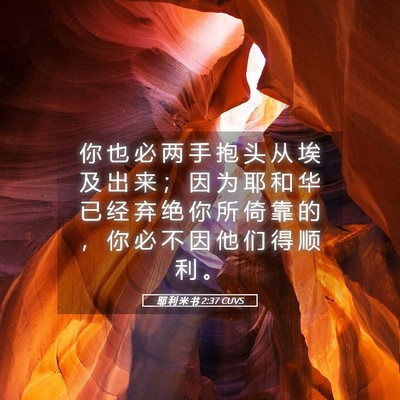 Picture 05 - 耶 利 米 书 2:37 CUVS - 你 也 必 两 手 抱 头 从 埃 及 出 来 - Bible Verse Picture