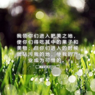 Picture 05 - 耶 利 米 书 2:7 CUVS - 我 领 你 们 进 入 肥 美 之 地 ， 使 - Bible Verse Picture