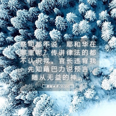 Picture 05 - 耶 利 米 书 2:8 CUVS - 祭 司 都 不 说 ， 耶 和 华 在 哪 里 - Bible Verse Picture