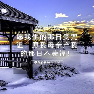 Picture 05 - 耶 利 米 书 20:14 CUVS - 愿 我 生 的 那 日 受 咒 诅 ； 愿 我 - Bible Verse Picture