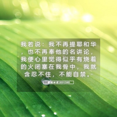 Picture 05 - 耶 利 米 书 20:9 CUVS - 我 若 说 ： 我 不 再 提 耶 和 华 ， - Bible Verse Picture