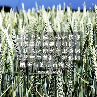 Picture 05 - 耶 利 米 书 21:14 CUVS - 耶 和 华 又 说 ： 我 必 按 你 们 做 - Bible Verse Picture