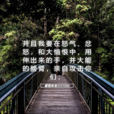 Picture 05 - 耶 利 米 书 21:5 CUVS - 并 且 我 要 在 怒 气 、 忿 怒 ， 和 - Bible Verse Picture