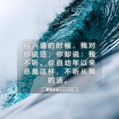 Picture 05 - 耶 利 米 书 22:21 CUVS - 你 兴 盛 的 时 候 ， 我 对 你 说 话 - Bible Verse Picture