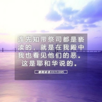 Picture 05 - 耶 利 米 书 23:11 CUVS - 连 先 知 带 祭 司 都 是 亵 渎 的 ， - Bible Verse Picture