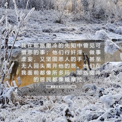 Picture 05 - 耶 利 米 书 23:14 CUVS - 我 在 耶 路 撒 冷 的 先 知 中 曾 见 - Bible Verse Picture