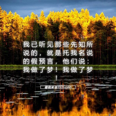 Picture 05 - 耶 利 米 书 23:25 CUVS - 我 已 听 见 那 些 先 知 所 说 的 ， - Bible Verse Picture
