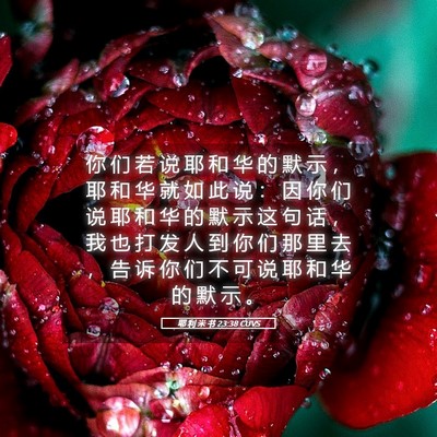 Picture 05 - 耶 利 米 书 23:38 CUVS - 你 们 若 说 耶 和 华 的 默 示 ， 耶 - Bible Verse Picture