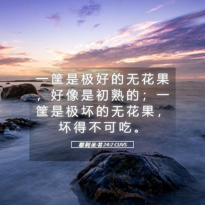 Picture 05 - 耶 利 米 书 24:2 CUVS - 一 筐 是 极 好 的 无 花 果 ， 好 像 - Bible Verse Picture