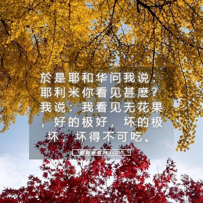Picture 05 - 耶 利 米 书 24:3 CUVS - 於 是 耶 和 华 问 我 说 ： 耶 利 米 - Bible Verse Picture