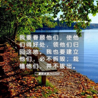 Picture 05 - 耶 利 米 书 24:6 CUVS - 我 要 眷 顾 他 们 ， 使 他 们 得 好 - Bible Verse Picture
