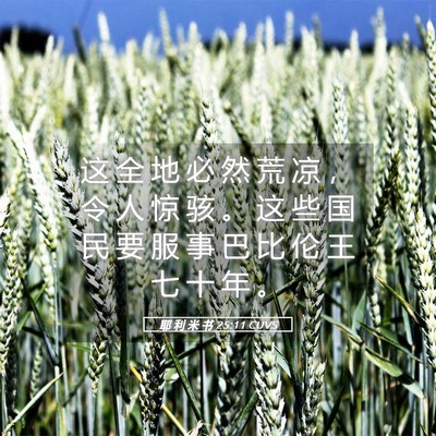 Picture 05 - 耶 利 米 书 25:11 CUVS - 这 全 地 必 然 荒 凉 ， 令 人 惊 骇 - Bible Verse Picture