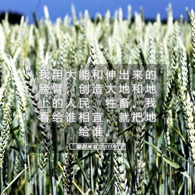 Picture 05 - 耶 利 米 书 27:5 CUVS - 我 用 大 能 和 伸 出 来 的 膀 臂 ， - Bible Verse Picture