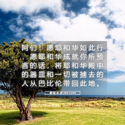 Picture 05 - 耶 利 米 书 28:6 CUVS - 阿 们 ！ 愿 耶 和 华 如 此 行 ， 愿 - Bible Verse Picture