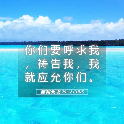 Picture 05 - 耶 利 米 书 29:12 CUVS - 你 们 要 呼 求 我 ， 祷 告 我 ， 我 - Bible Verse Picture