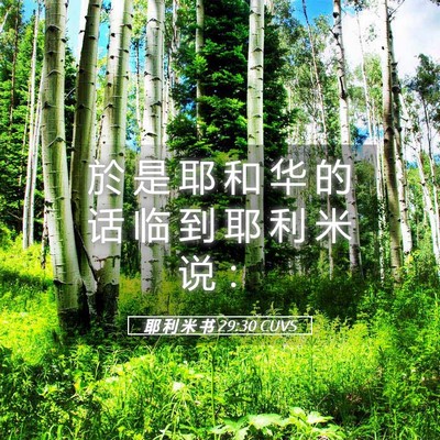 Picture 05 - 耶 利 米 书 29:30 CUVS - 於 是 耶 和 华 的 话 临 到 耶 利 米 - Bible Verse Picture