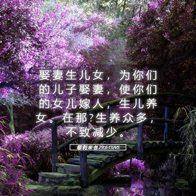 Picture 05 - 耶 利 米 书 29:6 CUVS - 娶 妻 生 儿 女 ， 为 你 们 的 儿 子 - Bible Verse Picture