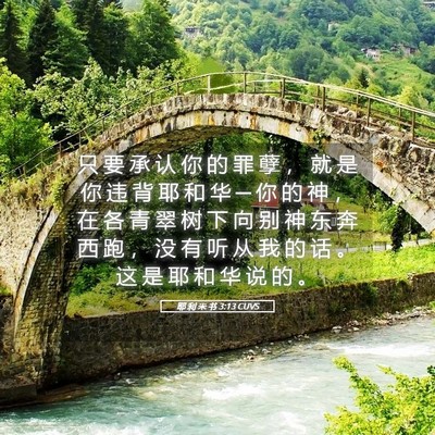 Picture 05 - 耶 利 米 书 3:13 CUVS - 只 要 承 认 你 的 罪 孽 ， 就 是 你 - Bible Verse Picture