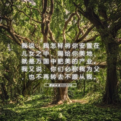 Picture 05 - 耶 利 米 书 3:19 CUVS - 我 说 ： 我 怎 样 将 你 安 置 在 儿 - Bible Verse Picture