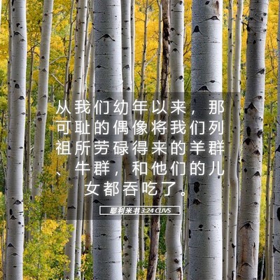 Picture 05 - 耶 利 米 书 3:24 CUVS - 从 我 们 幼 年 以 来 ， 那 可 耻 的 - Bible Verse Picture