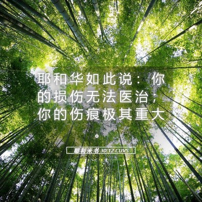 Picture 05 - 耶 利 米 书 30:12 CUVS - 耶 和 华 如 此 说 ： 你 的 损 伤 无 - Bible Verse Picture