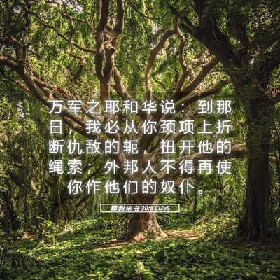 Picture 05 - 耶 利 米 书 30:8 CUVS - 万 军 之 耶 和 华 说 ： 到 那 日 ， - Bible Verse Picture