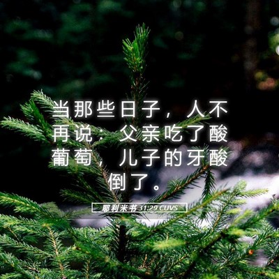 Picture 05 - 耶 利 米 书 31:29 CUVS - 当 那 些 日 子 ， 人 不 再 说 ： 父 - Bible Verse Picture