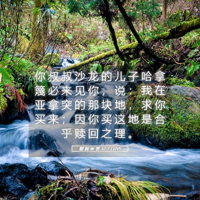 Picture 05 - 耶 利 米 书 32:7 CUVS - 你 叔 叔 沙 龙 的 儿 子 哈 拿 篾 必 - Bible Verse Picture