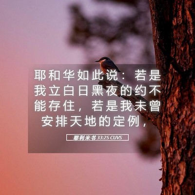 Picture 05 - 耶 利 米 书 33:25 CUVS - 耶 和 华 如 此 说 ： 若 是 我 立 白 - Bible Verse Picture