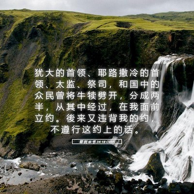 Picture 05 - 耶 利 米 书 34:18 CUVS - 犹 大 的 首 领 、 耶 路 撒 冷 的 首 - Bible Verse Picture