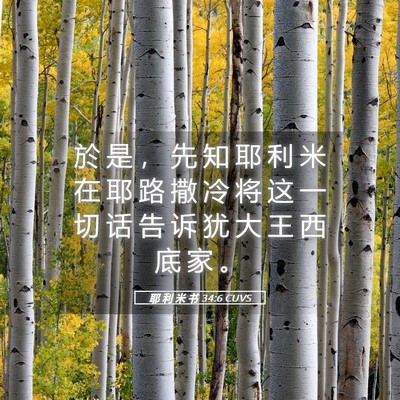 Picture 05 - 耶 利 米 书 34:6 CUVS - 於 是 ， 先 知 耶 利 米 在 耶 路 撒 - Bible Verse Picture