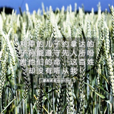 Picture 05 - 耶 利 米 书 35:16 CUVS - 利 甲 的 儿 子 约 拿 达 的 子 孙 能 - Bible Verse Picture