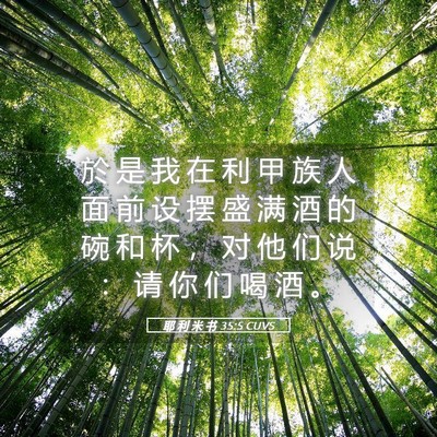 Picture 05 - 耶 利 米 书 35:5 CUVS - 於 是 我 在 利 甲 族 人 面 前 设 摆 - Bible Verse Picture