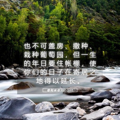 Picture 05 - 耶 利 米 书 35:7 CUVS - 也 不 可 盖 房 、 撒 种 、 栽 种 葡 - Bible Verse Picture