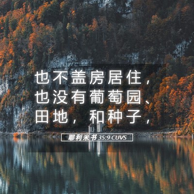 Picture 05 - 耶 利 米 书 35:9 CUVS - 也 不 盖 房 居 住 ， 也 没 有 葡 萄 - Bible Verse Picture