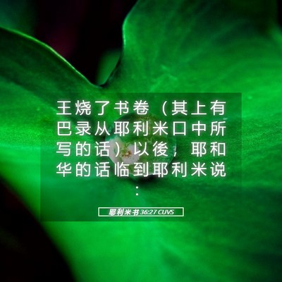 Picture 05 - 耶 利 米 书 36:27 CUVS - 王 烧 了 书 卷 （ 其 上 有 巴 录 从 - Bible Verse Picture