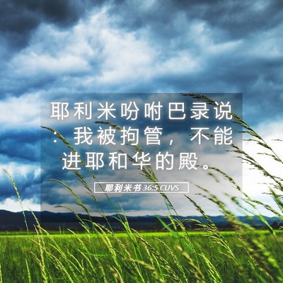 Picture 05 - 耶 利 米 书 36:5 CUVS - 耶 利 米 吩 咐 巴 录 说 ： 我 被 拘 - Bible Verse Picture