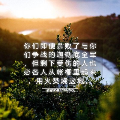 Picture 05 - 耶 利 米 书 37:10 CUVS - 你 们 即 便 杀 败 了 与 你 们 争 战 - Bible Verse Picture