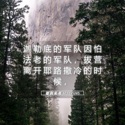 Picture 05 - 耶 利 米 书 37:11 CUVS - 迦 勒 底 的 军 队 因 怕 法 老 的 军 - Bible Verse Picture