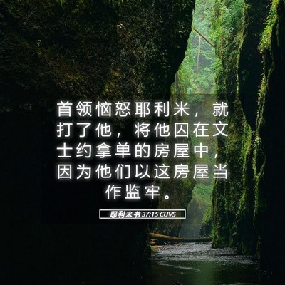 Picture 05 - 耶 利 米 书 37:15 CUVS - 首 领 恼 怒 耶 利 米 ， 就 打 了 他 - Bible Verse Picture