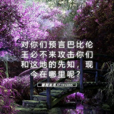 Picture 05 - 耶 利 米 书 37:19 CUVS - 对 你 们 预 言 巴 比 伦 王 必 不 来 - Bible Verse Picture