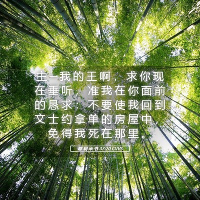 Picture 05 - 耶 利 米 书 37:20 CUVS - 主 ─ 我 的 王 啊 ， 求 你 现 在 垂 - Bible Verse Picture
