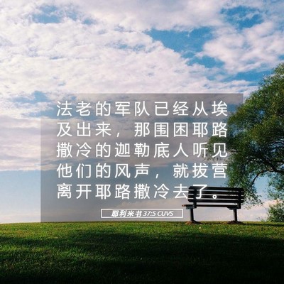 Picture 05 - 耶 利 米 书 37:5 CUVS - 法 老 的 军 队 已 经 从 埃 及 出 来 - Bible Verse Picture