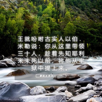Picture 05 - 耶 利 米 书 38:10 CUVS - 王 就 吩 咐 古 实 人 以 伯 ． 米 勒 - Bible Verse Picture