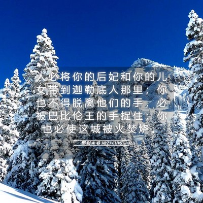 Picture 05 - 耶 利 米 书 38:23 CUVS - 人 必 将 你 的 后 妃 和 你 的 儿 女 - Bible Verse Picture
