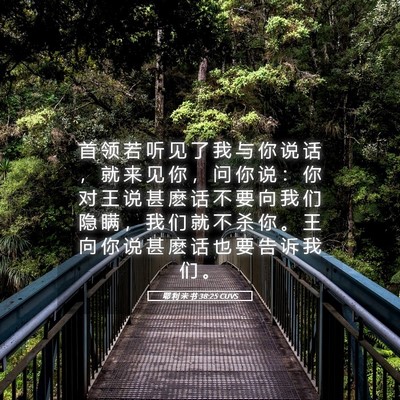 Picture 05 - 耶 利 米 书 38:25 CUVS - 首 领 若 听 见 了 我 与 你 说 话 ， - Bible Verse Picture