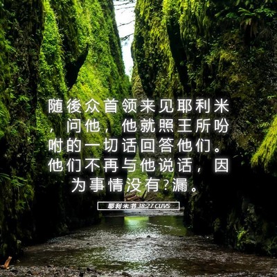 Picture 05 - 耶 利 米 书 38:27 CUVS - 随 後 众 首 领 来 见 耶 利 米 ， 问 - Bible Verse Picture