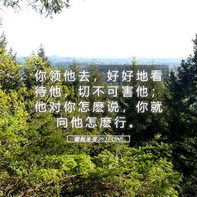 Picture 05 - 耶 利 米 书 39:12 CUVS - 你 领 他 去 ， 好 好 地 看 待 他 ， - Bible Verse Picture